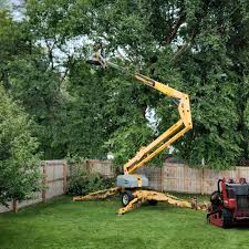 Best Arborist Consultation Services  in Old Mystic, CT